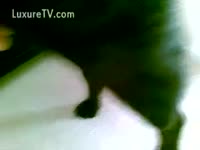 Furry pet porn with a hot chick